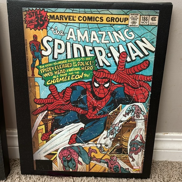 SpiderMan Canvas pictures - Picture 2 of 4